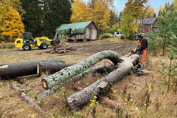 Juha Käkelä alkaa veistämään Greenman taideteosta