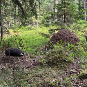 Muulahainen