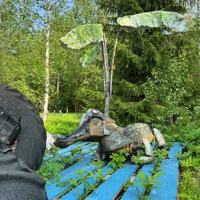 Alpo koivumäen krokotiili