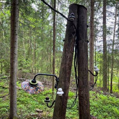 Sähkötolppa metsässä, jossa kiinni värikäs lamppu
