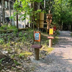Timo Perin puu-ukko roikkuu puusta