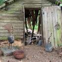 Picture of Lintula